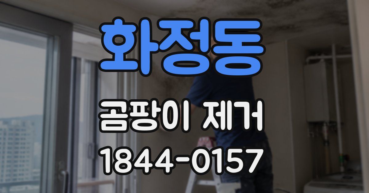 화정동 곰팡이 제거