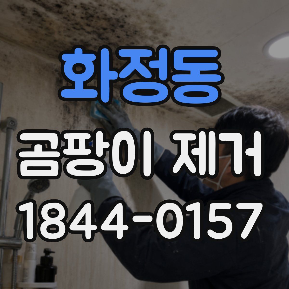 화정동 곰팡이 제거