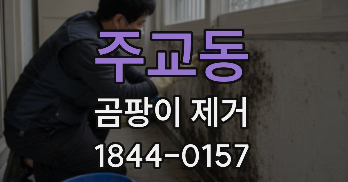 주교동 곰팡이 제거