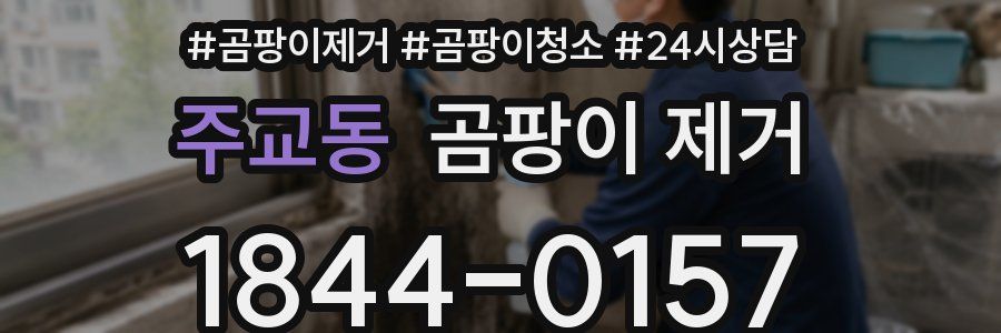 주교동 곰팡이 제거