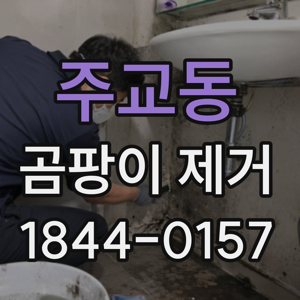 주교동 곰팡이 제거
