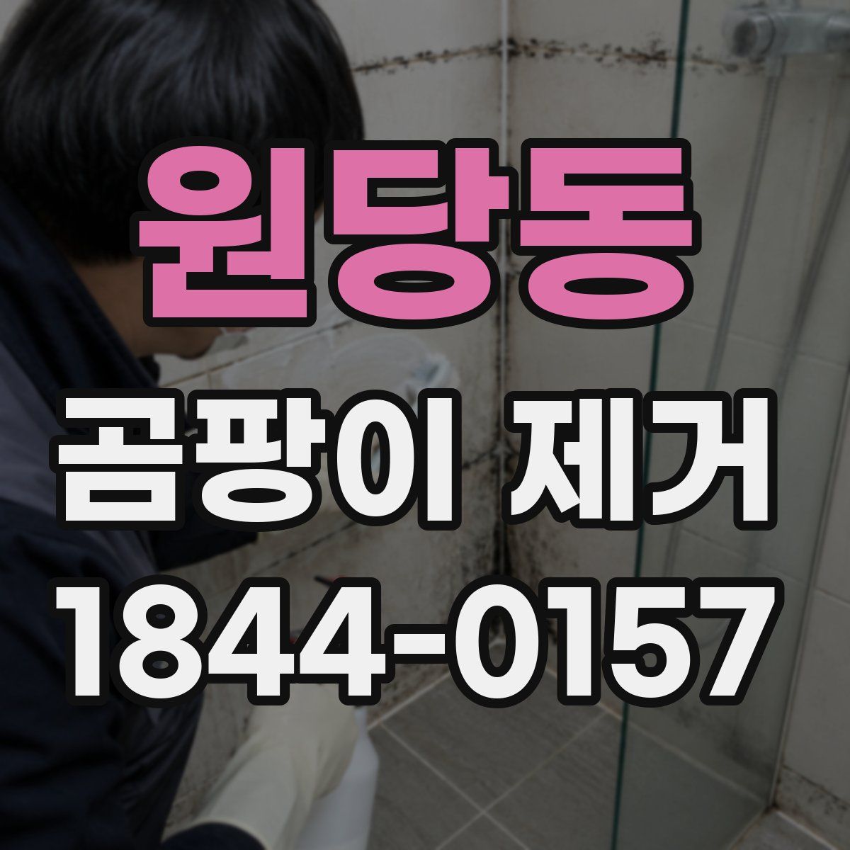 원당동 곰팡이 제거