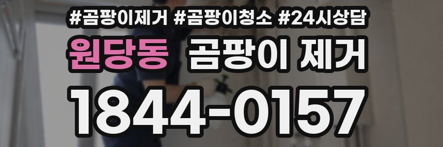 원당동 곰팡이 제거
