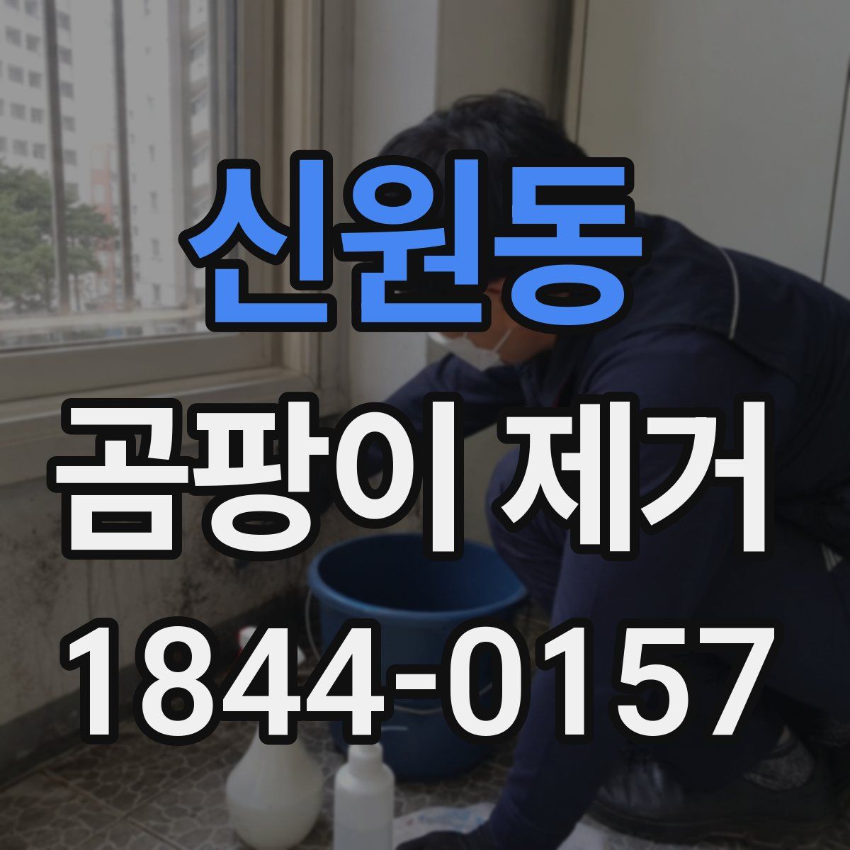 신원동 곰팡이 제거