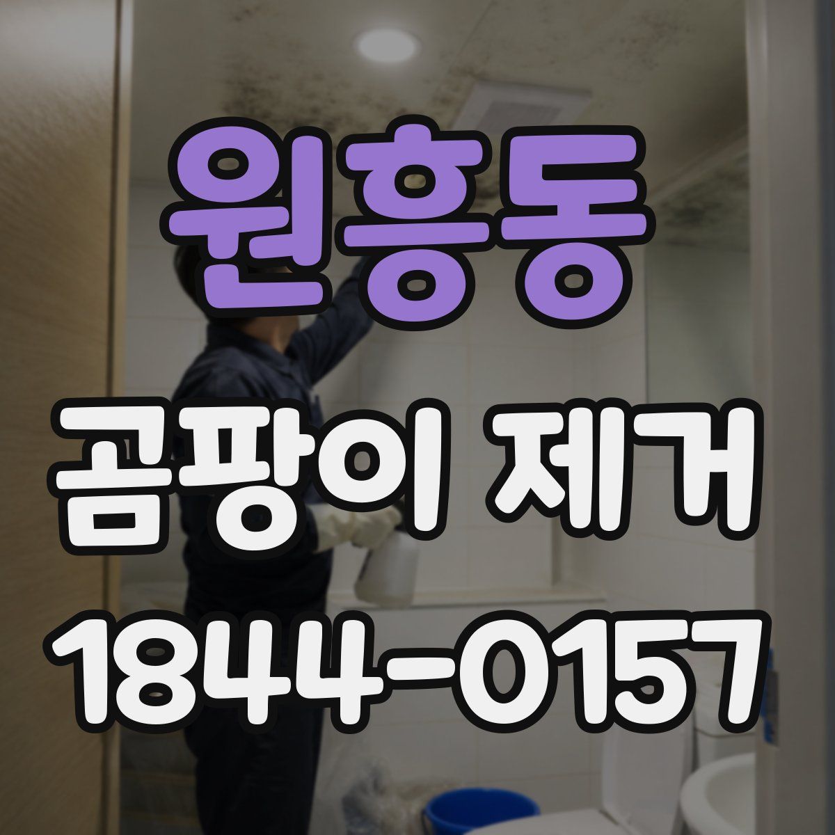 원흥동 곰팡이 제거