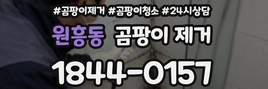원흥동 곰팡이 제거