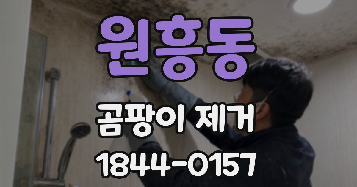 원흥동 곰팡이 제거