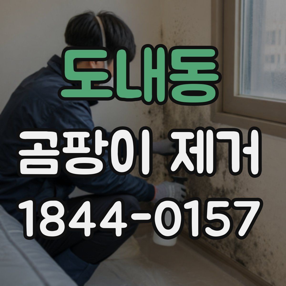 도내동 곰팡이 제거 뒤 환기와 건조를 함께 챙기는 법