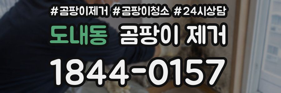 도내동 곰팡이 제거
