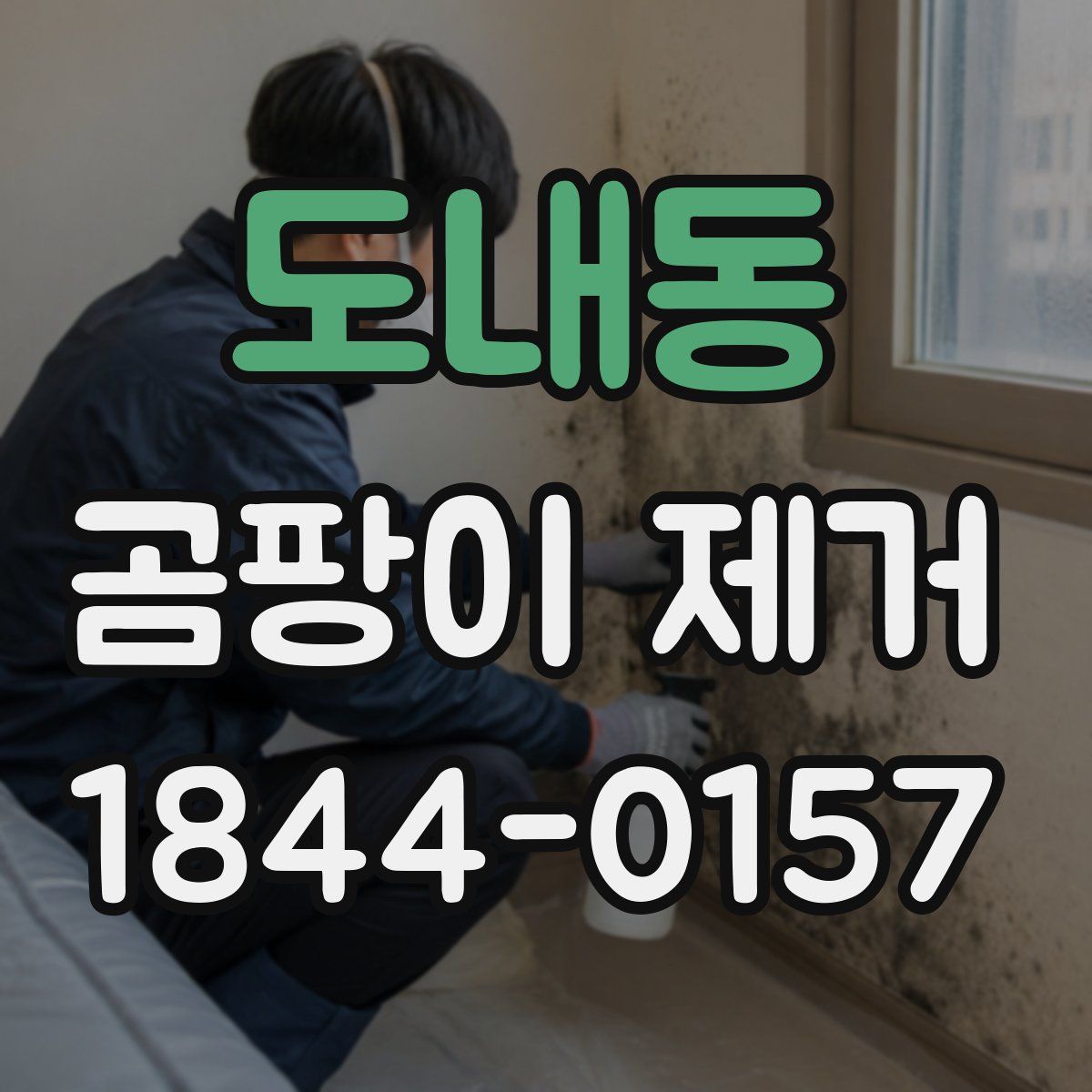 도내동 곰팡이 제거