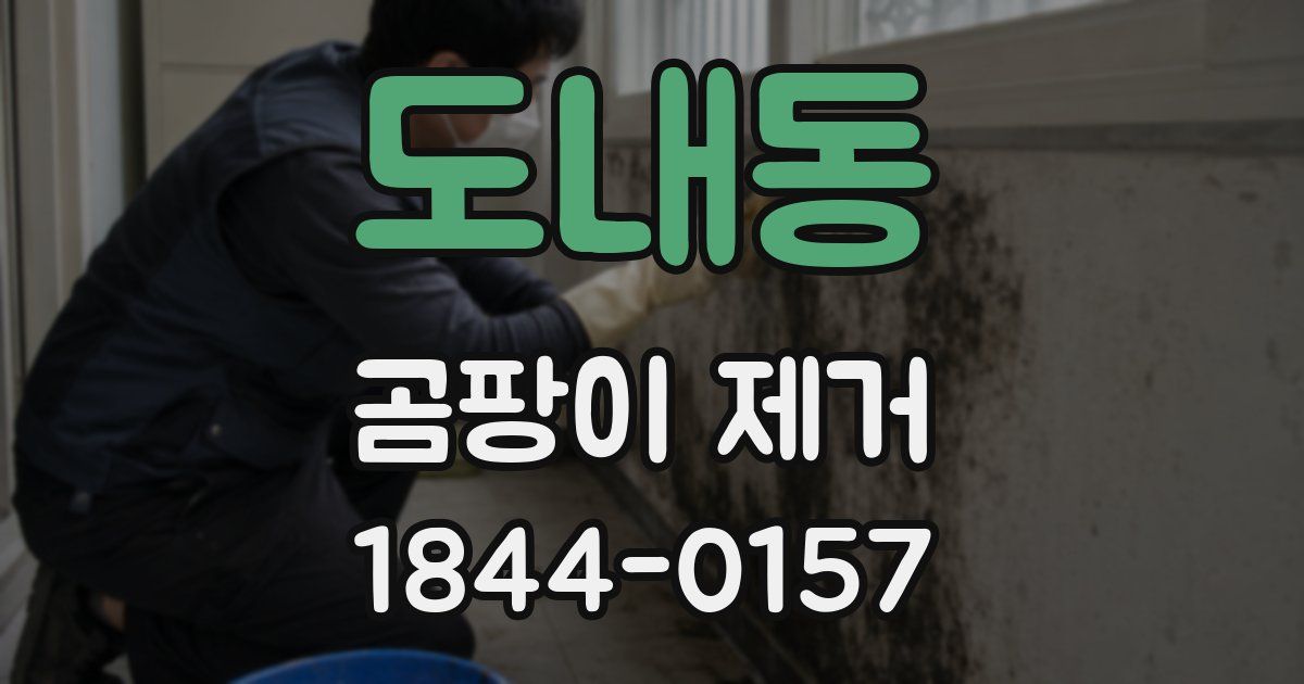 도내동 곰팡이 제거