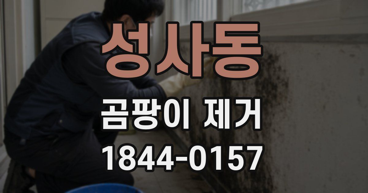 성사동 곰팡이 제거