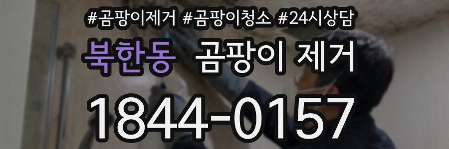 북한동 곰팡이 제거