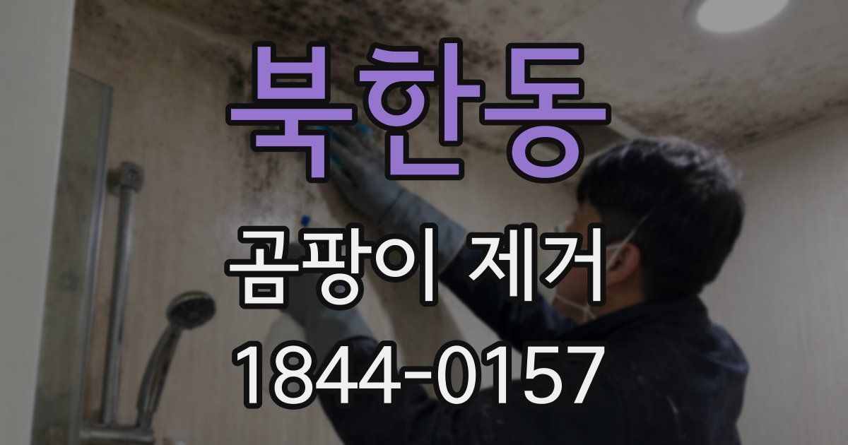 북한동 곰팡이 제거