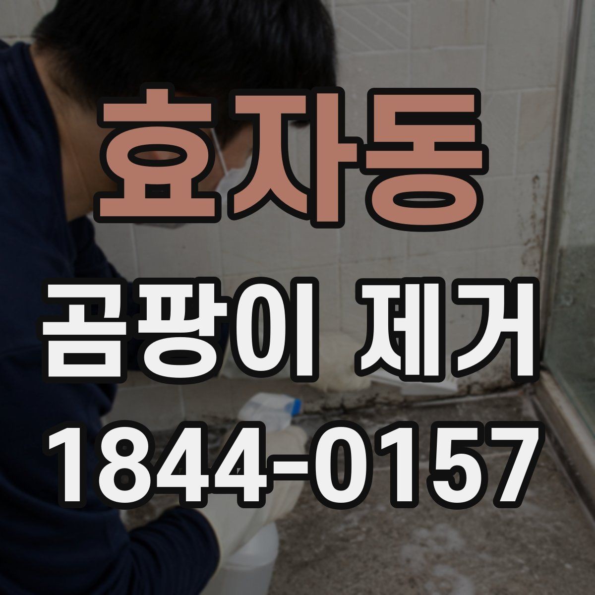 효자동 곰팡이 제거 흔적이 남는 이유부터 살펴보기