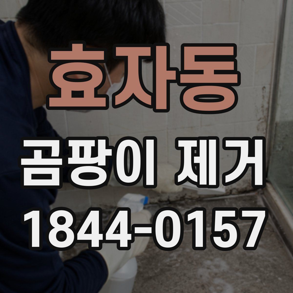 효자동 곰팡이 제거