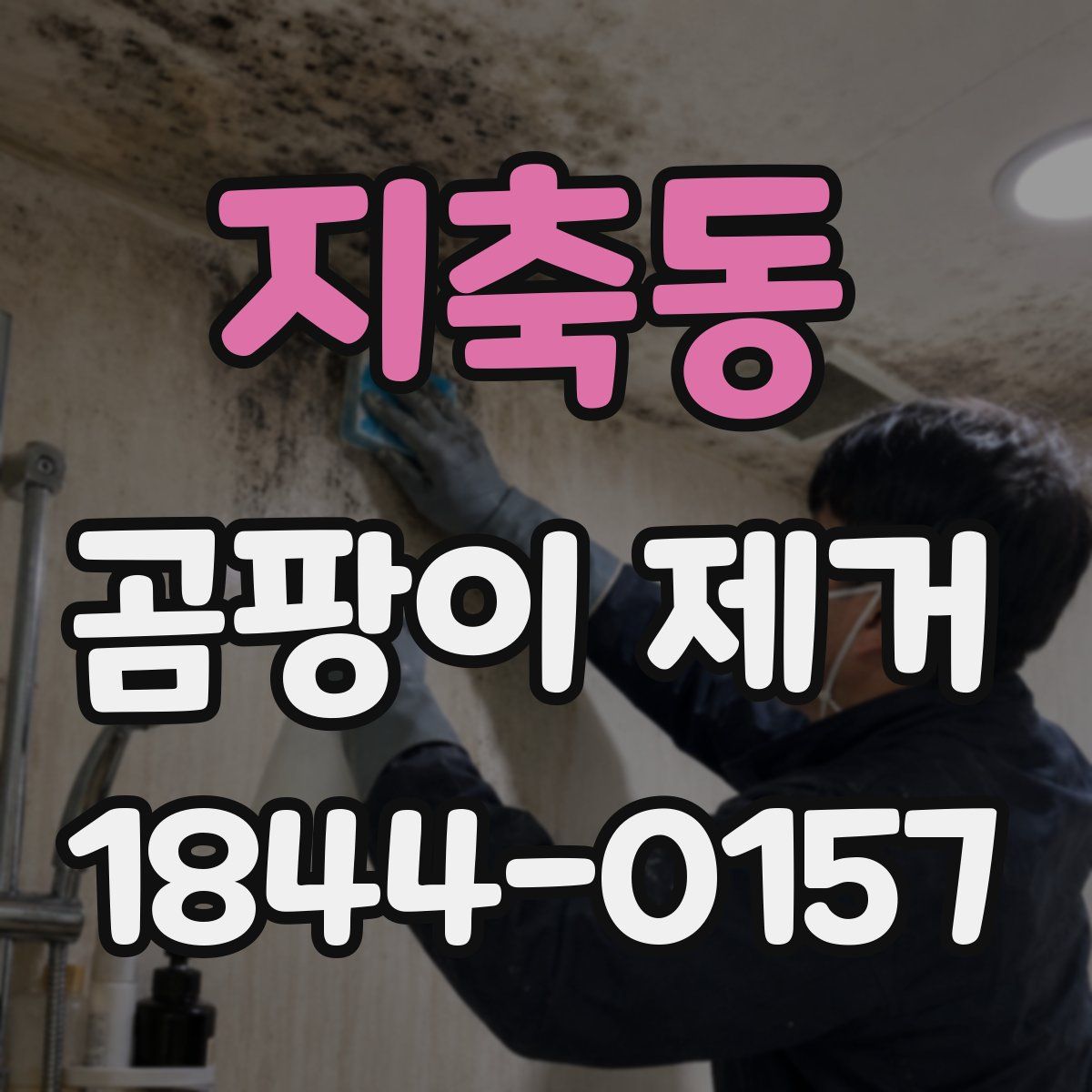지축동 곰팡이 제거