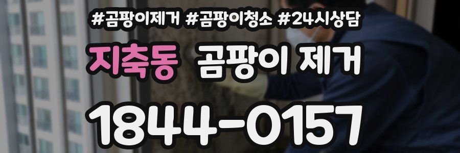 지축동 곰팡이 제거