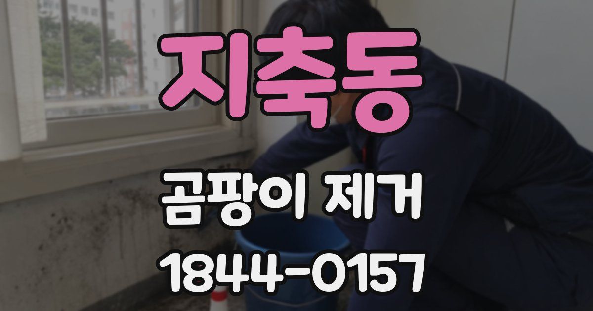 지축동 곰팡이 제거