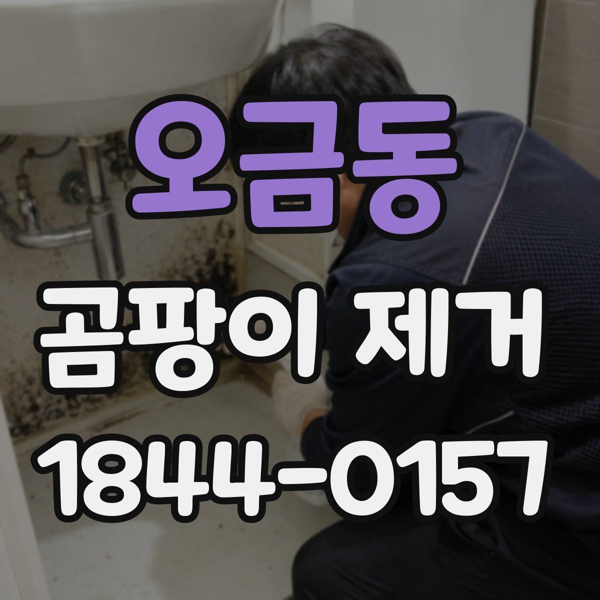 오금동 곰팡이 제거