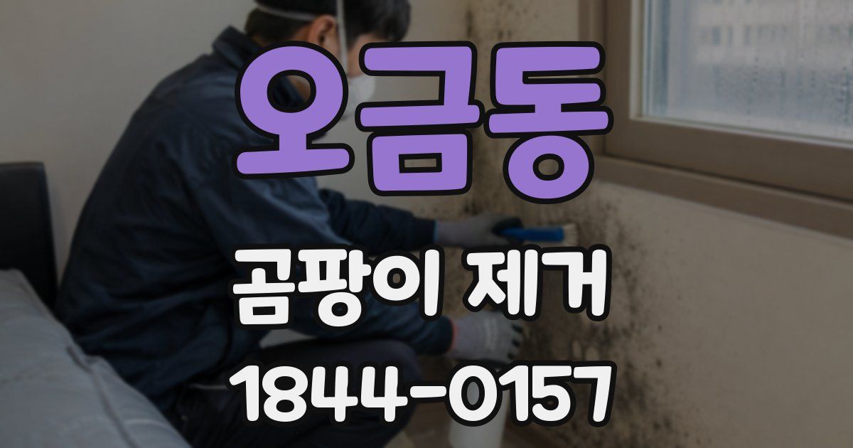 오금동 곰팡이 제거