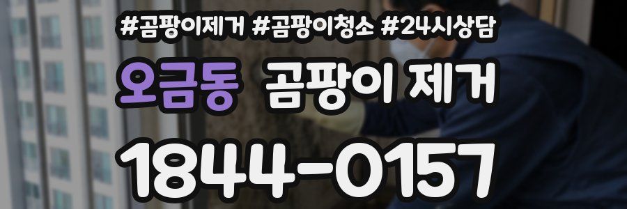 오금동 곰팡이 제거