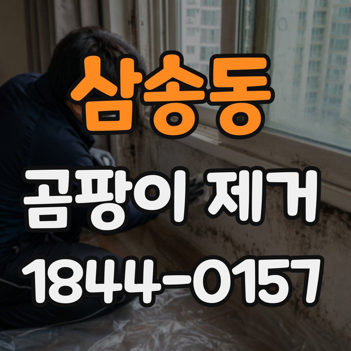 삼송동 곰팡이 제거