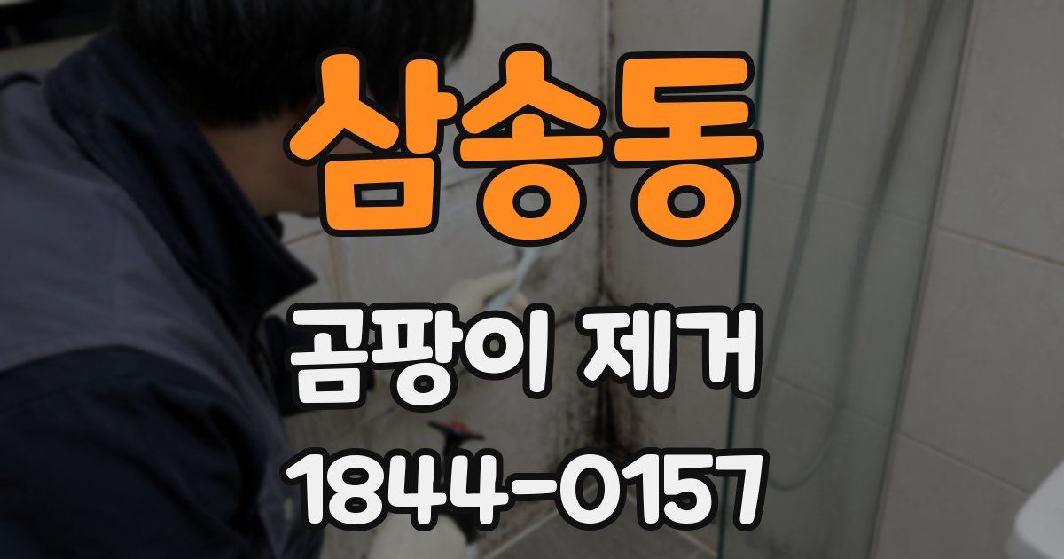 삼송동 곰팡이 제거