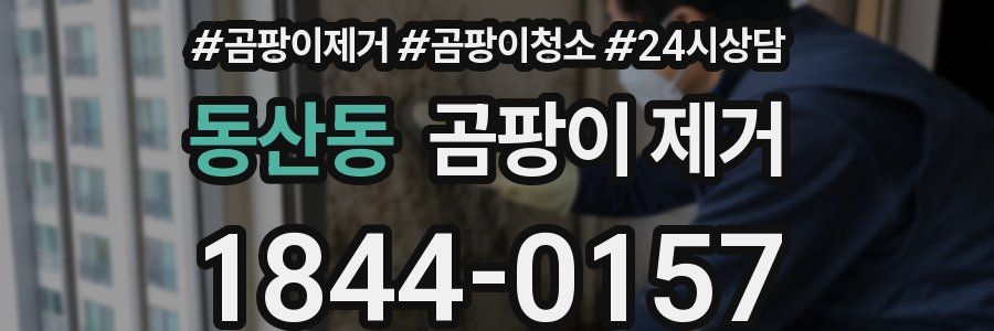 동산동 곰팡이 제거