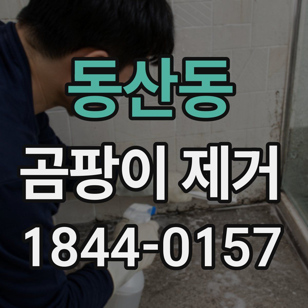 동산동 곰팡이 제거