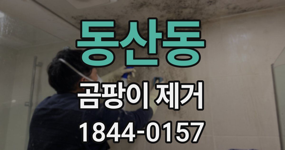 동산동 곰팡이 제거