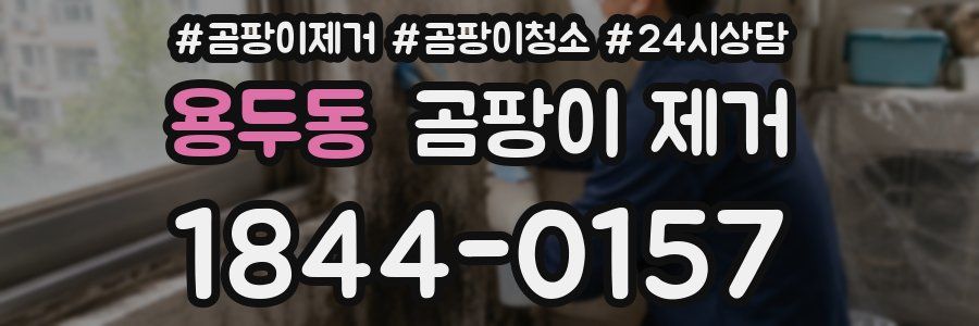 용두동 곰팡이 제거