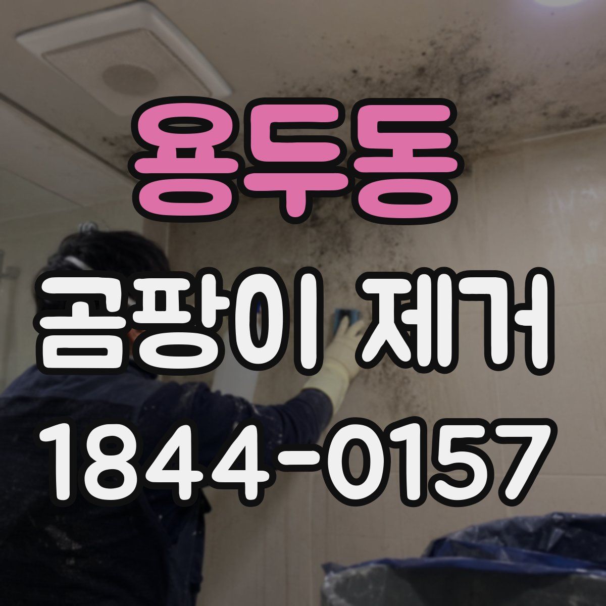 용두동 곰팡이 제거