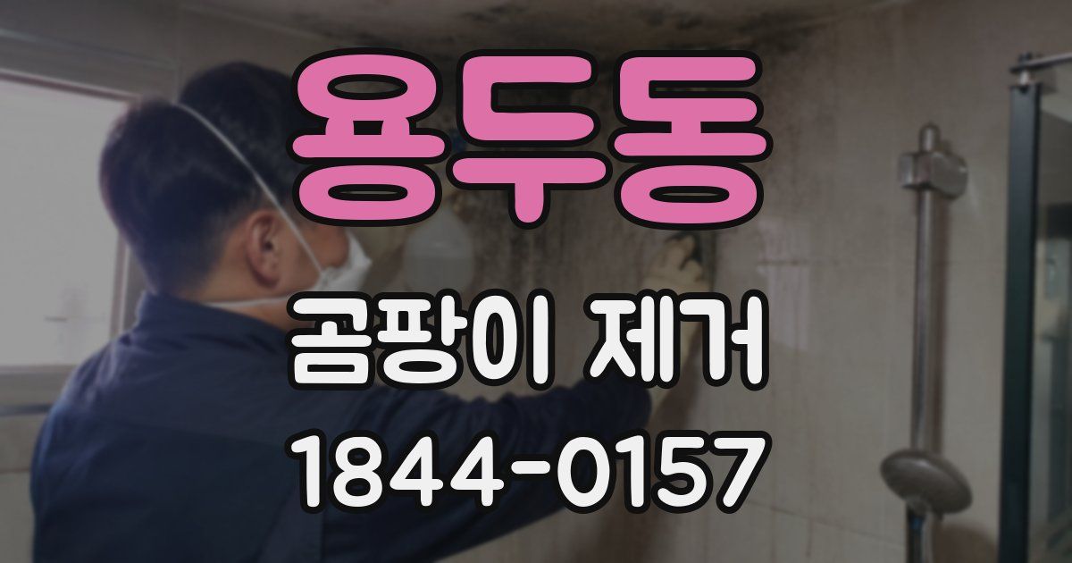 용두동 곰팡이 제거