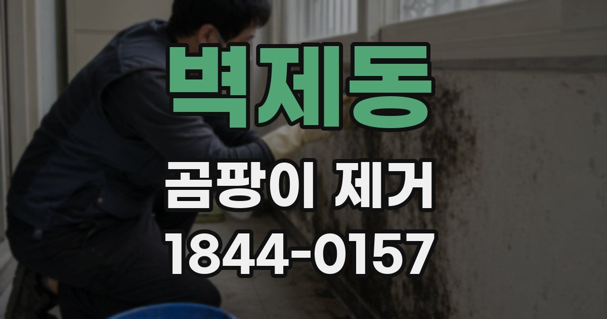 벽제동 곰팡이 제거
