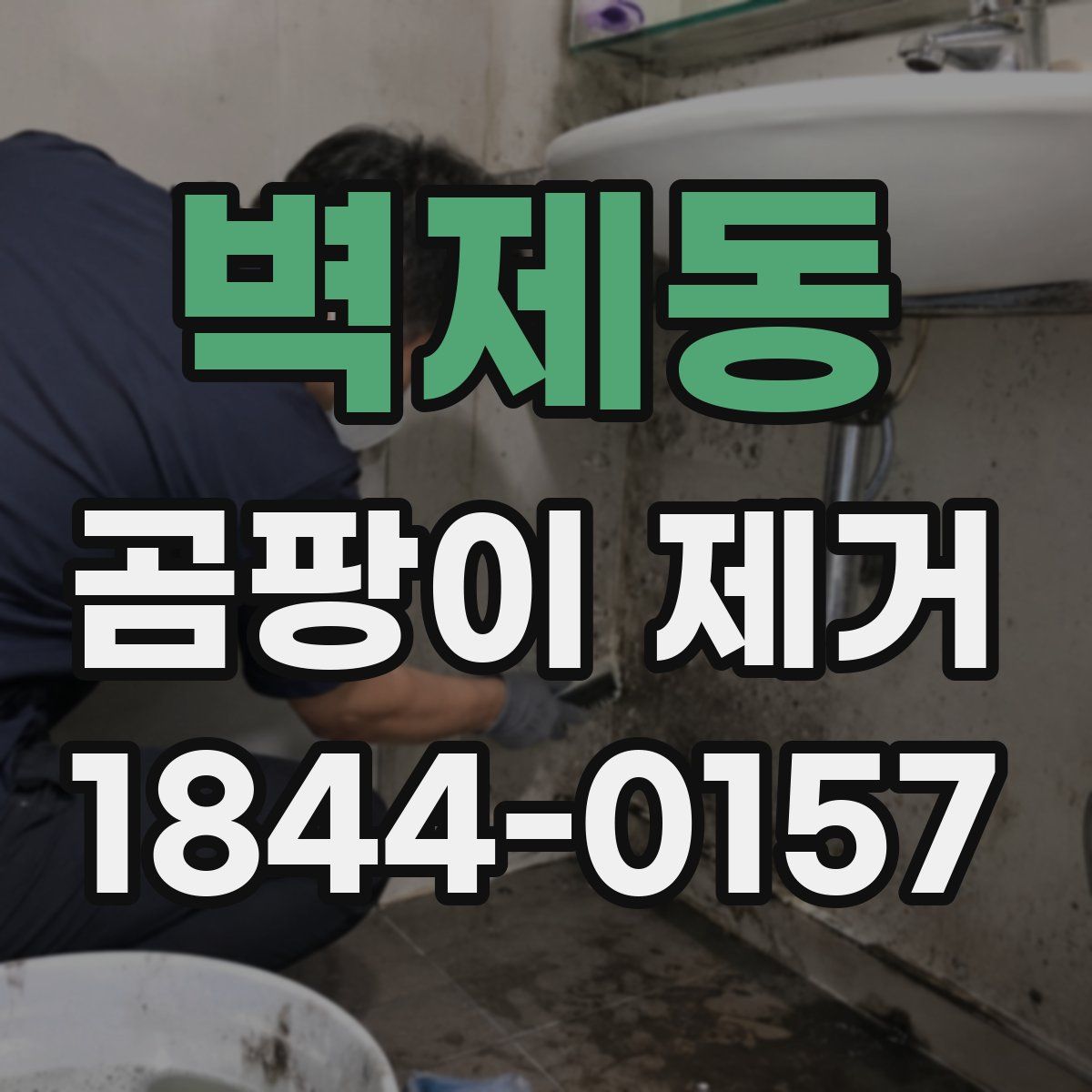 벽제동 곰팡이 제거