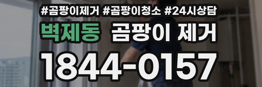 벽제동 곰팡이 제거
