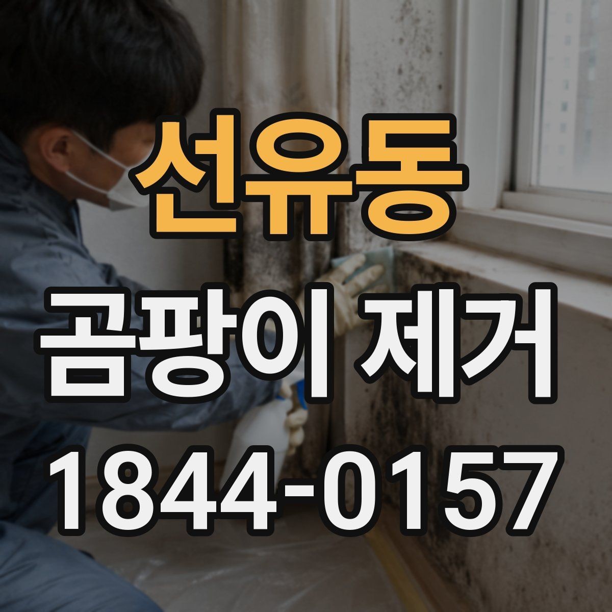 선유동 곰팡이 제거 번진 범위별로 달라지는 작업 순서