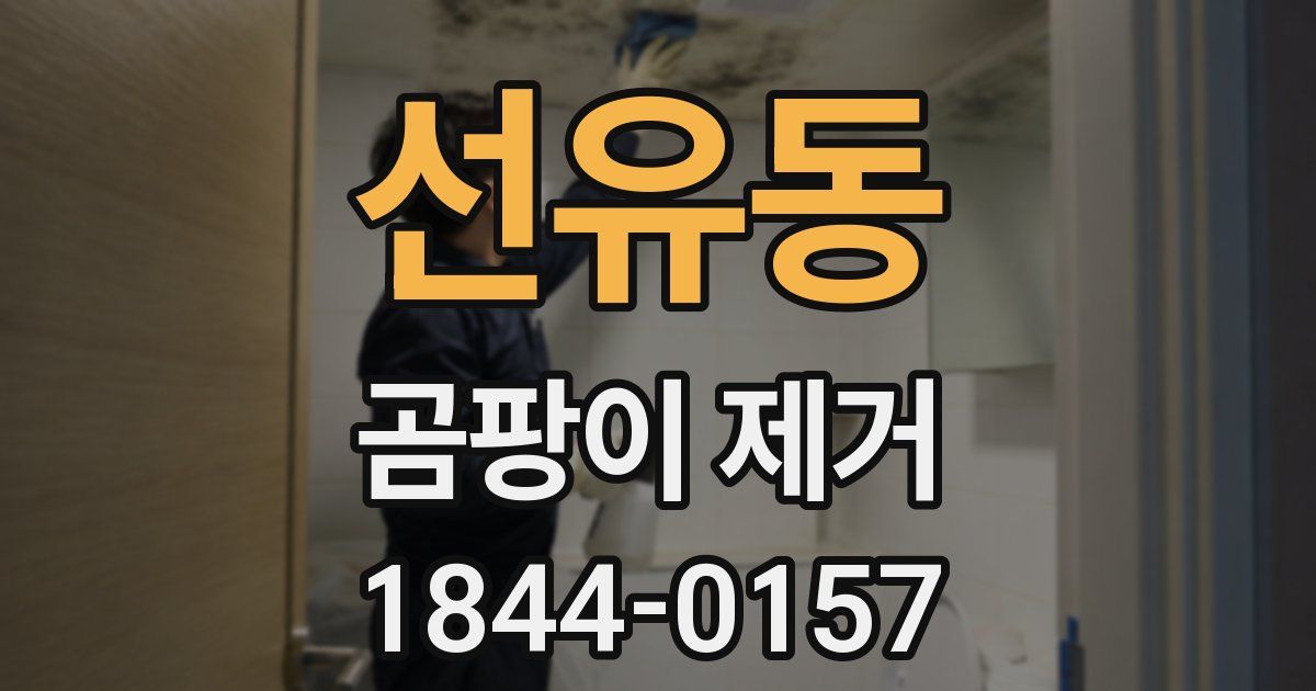 선유동 곰팡이 제거