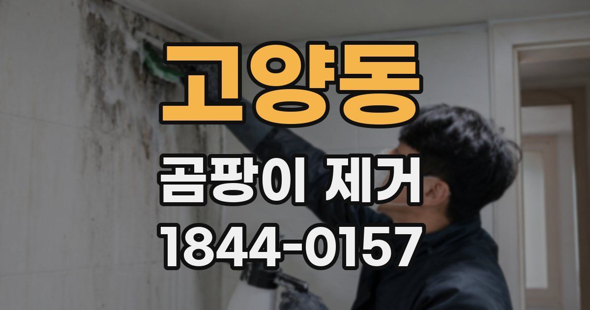고양동 곰팡이 제거