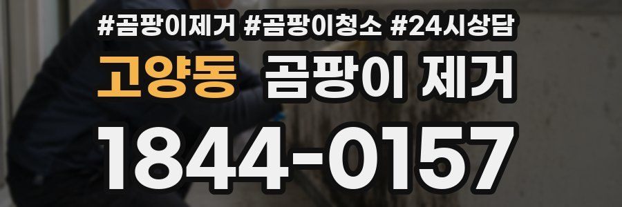 고양동 곰팡이 제거