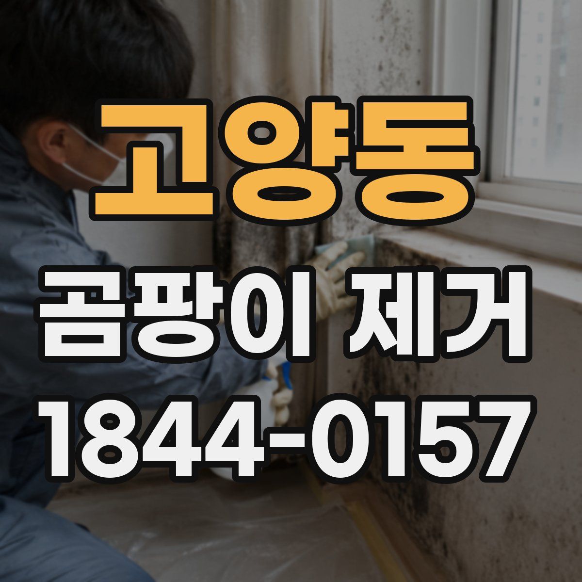 고양동 곰팡이 제거