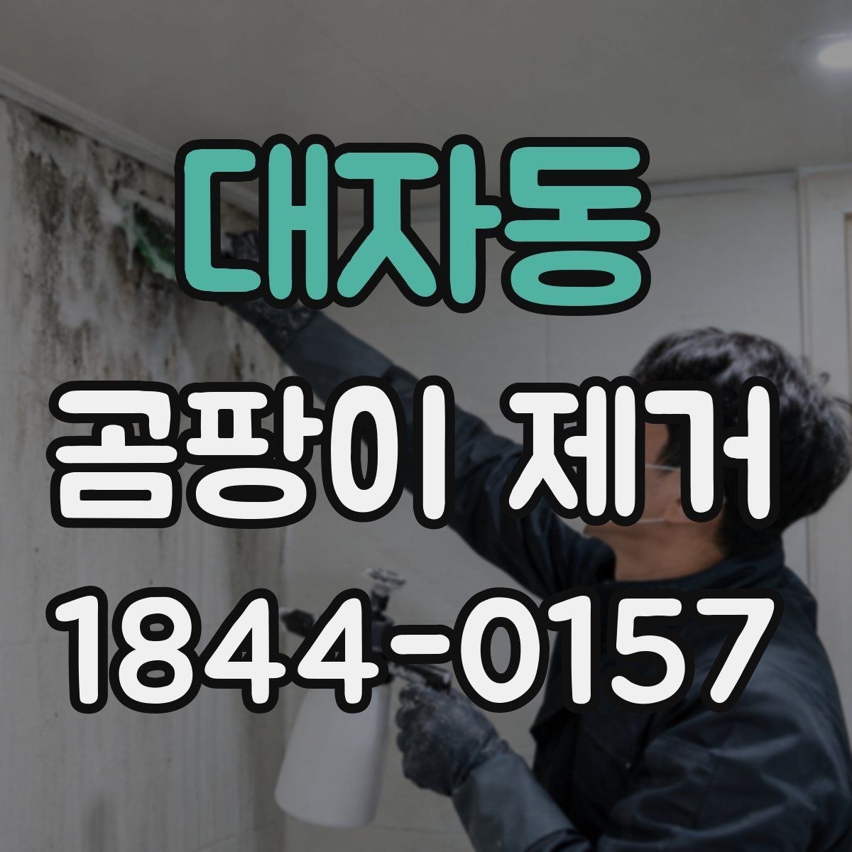 대자동 곰팡이 제거 집안 습관부터 점검해야 하는 이유
