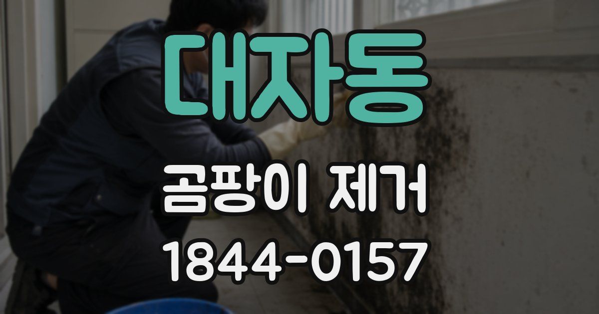 대자동 곰팡이 제거