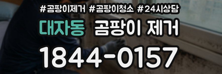 대자동 곰팡이 제거