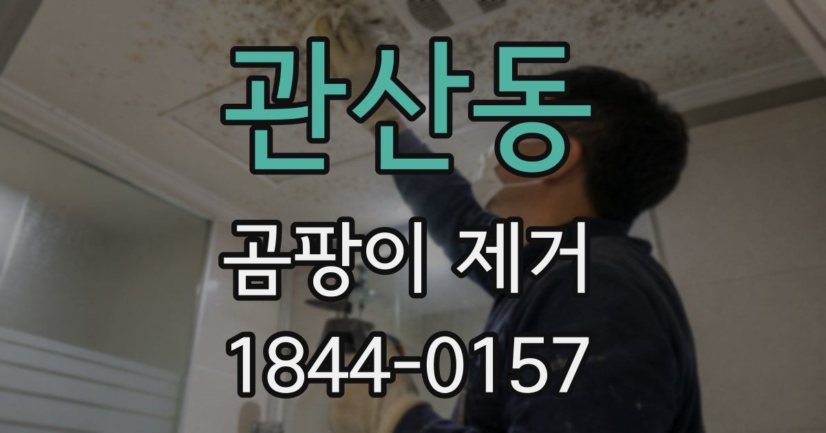 관산동 곰팡이 제거