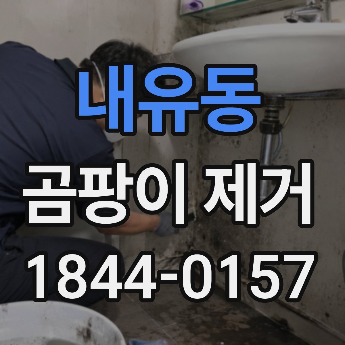 내유동 곰팡이 제거
