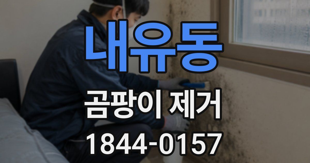 내유동 곰팡이 제거