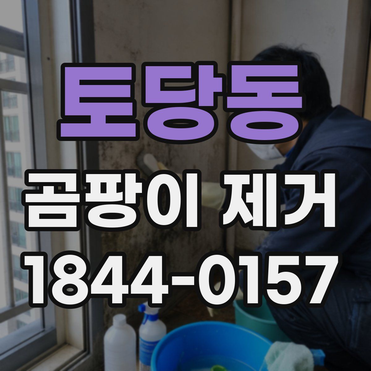 토당동 곰팡이 제거