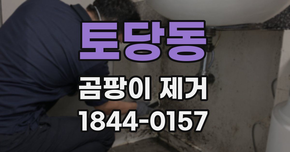 토당동 곰팡이 제거
